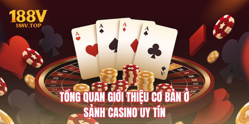 Tổng quan giới thiệu cơ bản ở sảnh casino uy tín